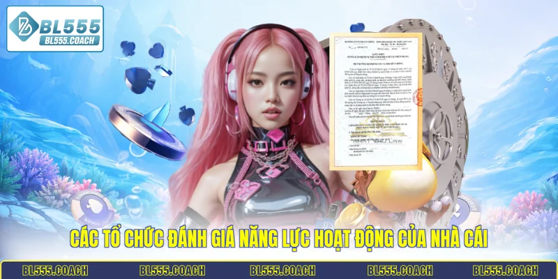 Các tổ chức đánh giá năng lực hoạt động của nhà cái