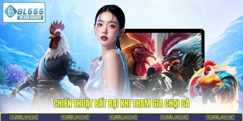 Chiến thuật bất bại khi tham gia chọi gà