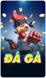 đá gà