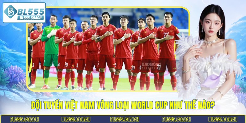 đội tuyển Việt Nam vòng loại World Cup