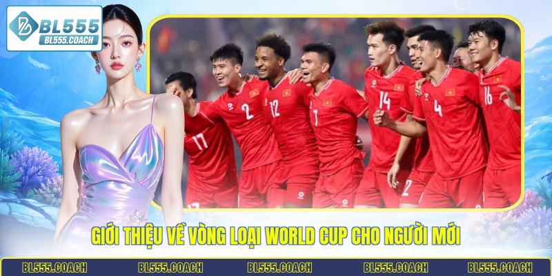 Giới thiệu về vòng loại World Cup cho người mới