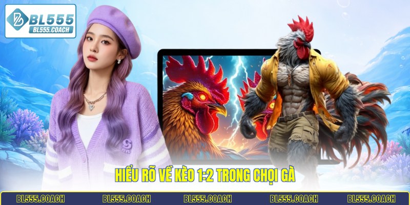 Hiểu rõ về kèo 1:2 trong chọi gà