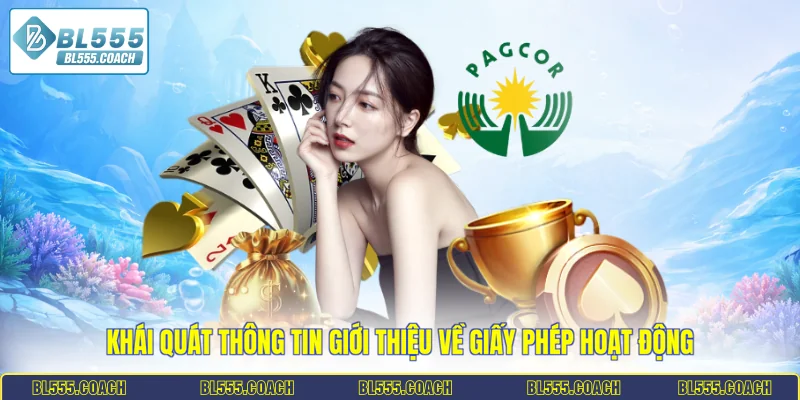 Khái quát thông tin giới thiệu về giấy phép hoạt động